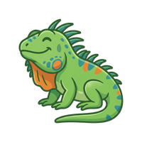 Green Iguana