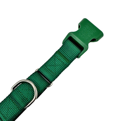 Martingale Dog Collar