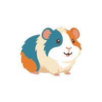 Guinea Pig