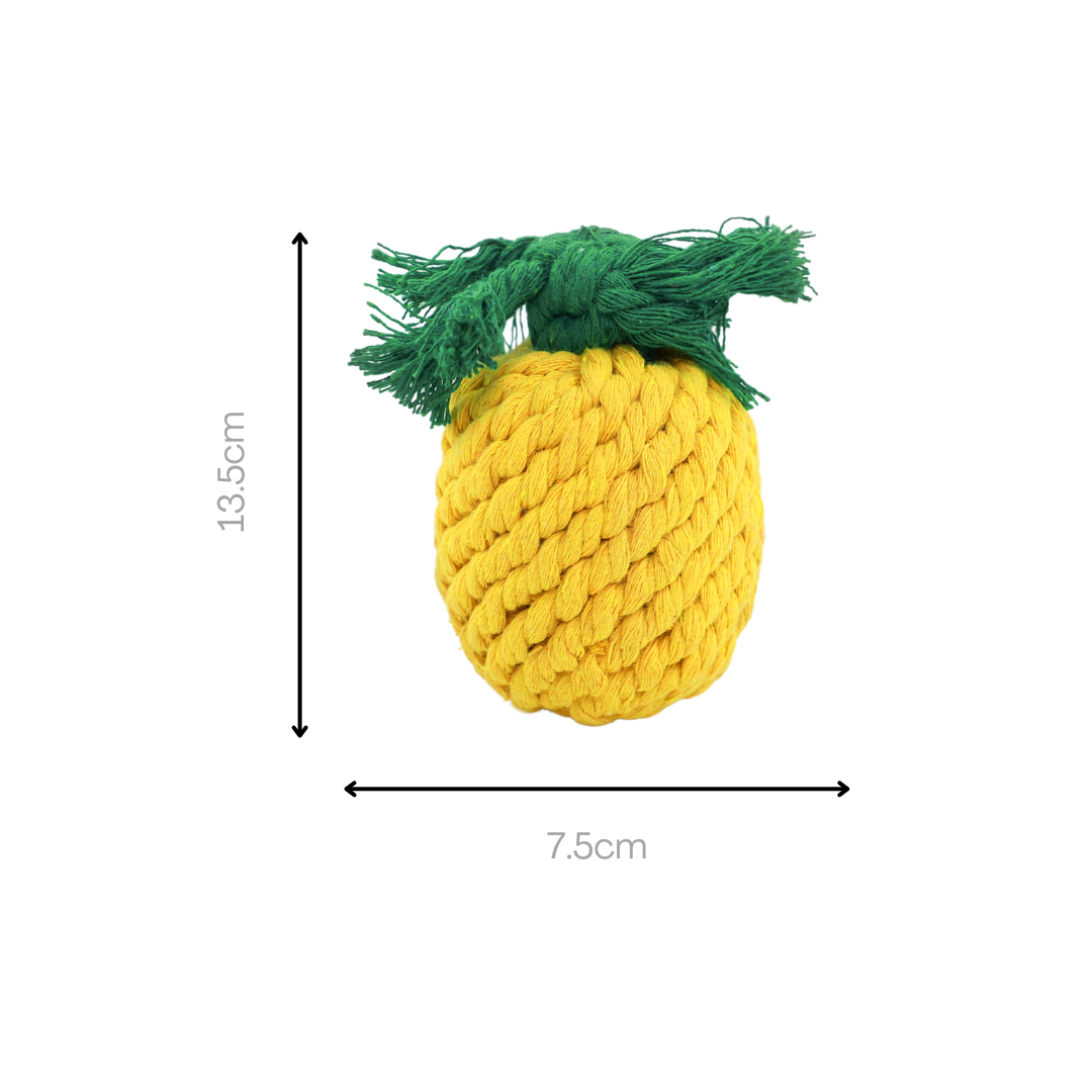 Handmade Small Pineapple Rope Toy-3