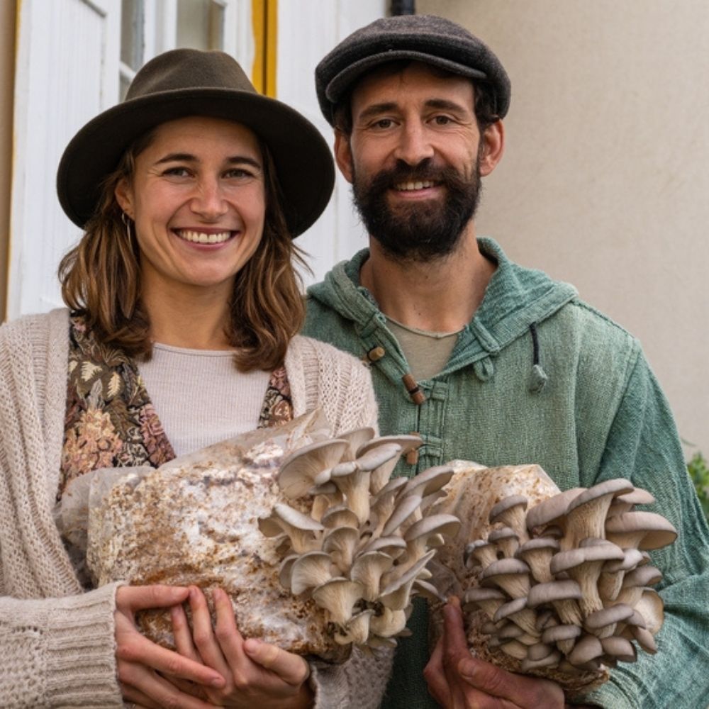 Blue Oyster Mushroom Grow Kit Fruiting Block - 5 LBS