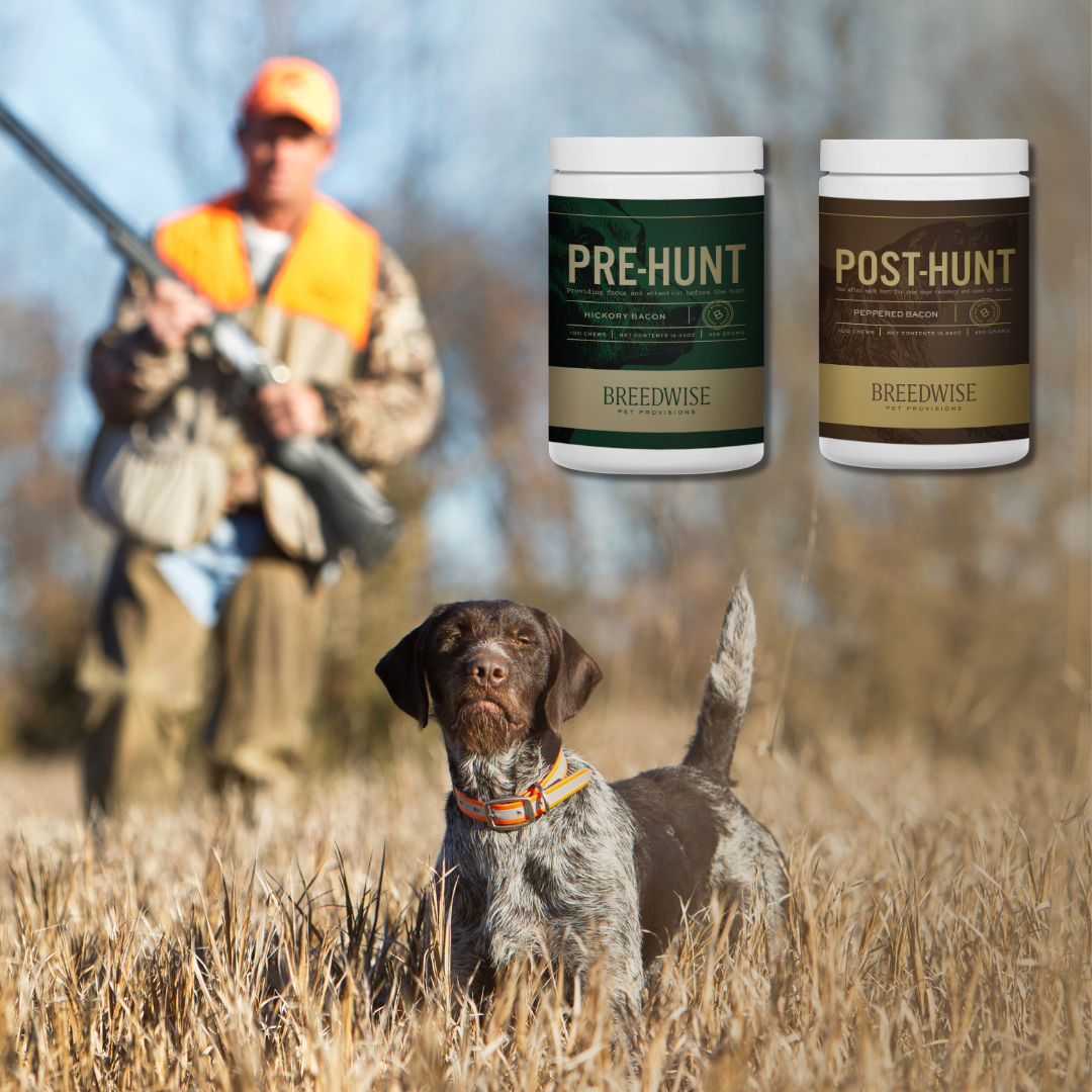 Breedwise Pre & Post-HUNT Soft Dog Chews - Wholesale Bundle (1 case of each)