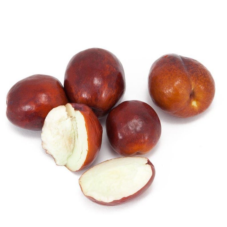 Jujube Tree Grafted Li Variety 3-Gallon Pot Large Fruit Ziziphus jujuba Zones 5-10