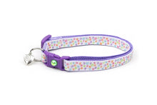 Mini Rainbow Squiggles Cat Collar