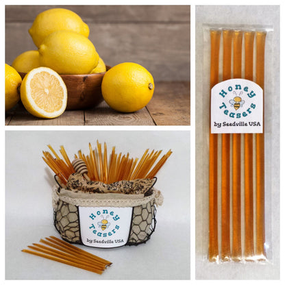 5 Pack LEMON HONEY TEASERS Natural Honey Snack Sticks Honeystix Straws