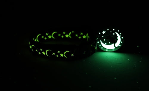 Gold Moons and Stars on Royal Blue Cat Collar