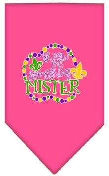 Pet and Dog Bandana Screen Printed, "Throw Me Something Mister"