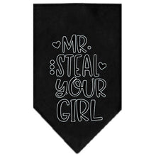 Pet and Dog Bandana Screen Printed, "Mr. Steal Your Girl"