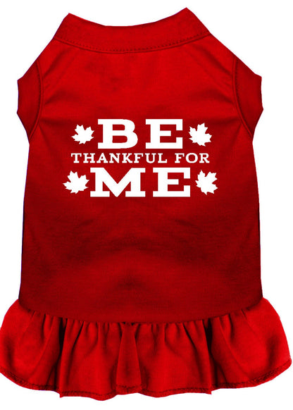 Pet Dress "Be Thankful For Me"