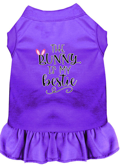 Pet Dress "The Bunny Is My Bestie"