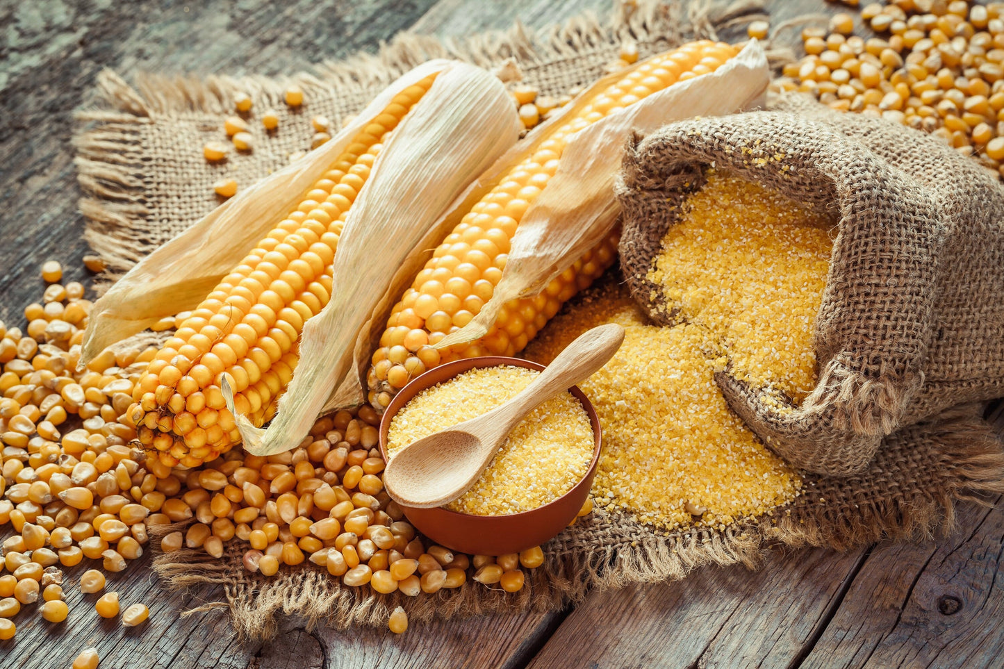 50 SUGAR BUNS CORN Sweet S.E. Yellow Zea Mays Vegetable Seeds