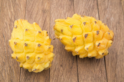 20 YELLOW DRAGON FRUIT ( Pitaya / Pitahaya / Strawberry Pear ) Hylocereus Megalanthus Cactus White Flower Seeds