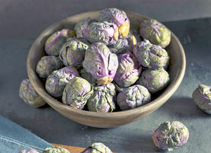 70 RED Ball BRUSSEL SPROUT Brussels Sprouts Brassica Oleracea Gemmifera Vegetable Seeds