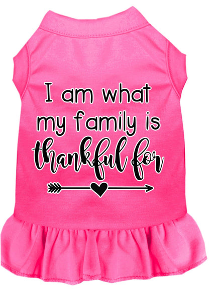 Pet Dress "I Am What My Family Is Thankful For"