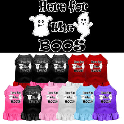 Pet Dress "Here For The Boos"