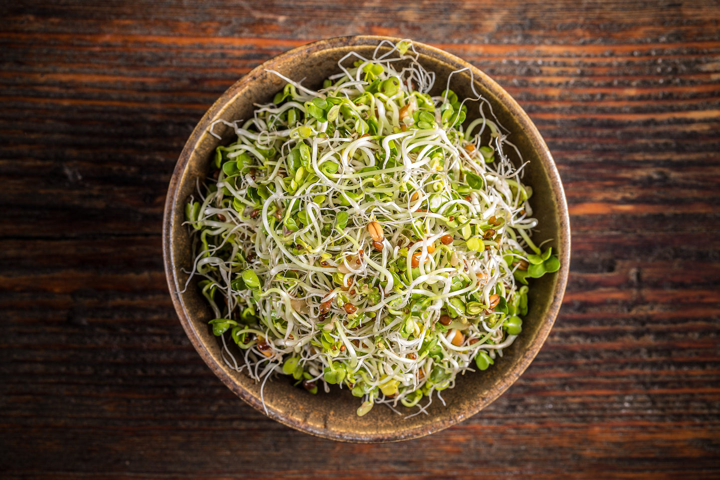 ORGANIC SPROUTING MIX - Peas, Mung & Adzuki Beans, Green, French, & Red Lentil Vegetable Sprout Seeds