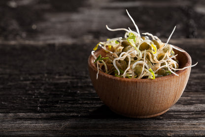 ORGANIC SPROUTING MIX - Peas, Mung & Adzuki Beans, Green, French, & Red Lentil Vegetable Sprout Seeds