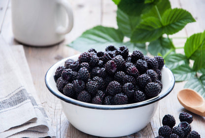 50 WHITEBARK Black RASPBERRY Western Blackcap Raspberry Rubus Leucodermis Native Fruit Berry Seeds