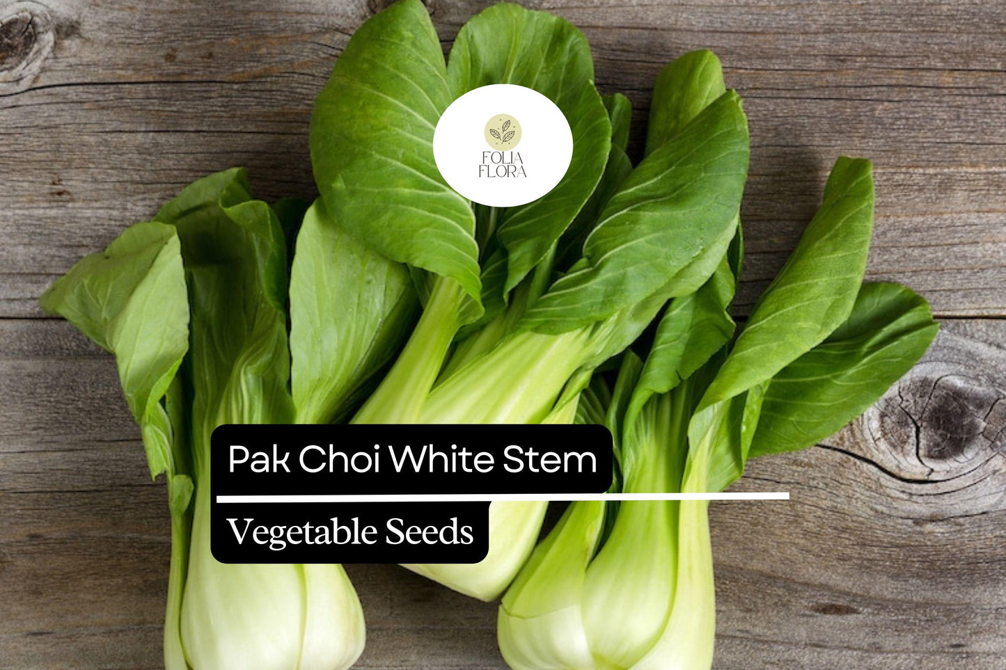 Pak Choi White Stem Seeds | Heirloom Non-GMO Asian Greens Brassica rapa var. chinensis