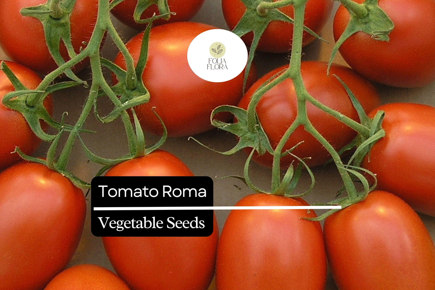 Roma Tomato Seeds 100mg Heirloom Non-GMO for Sauces, Pastes & Salsas | Solanum lycopersicum