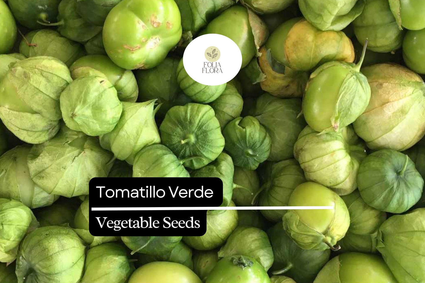 100mg Tomatillo Verde Seeds | Physalis ixocarpa | Mexican Cuisine, Salsa Verde, Tangy Flavor, Full Sun, Easy to Grow