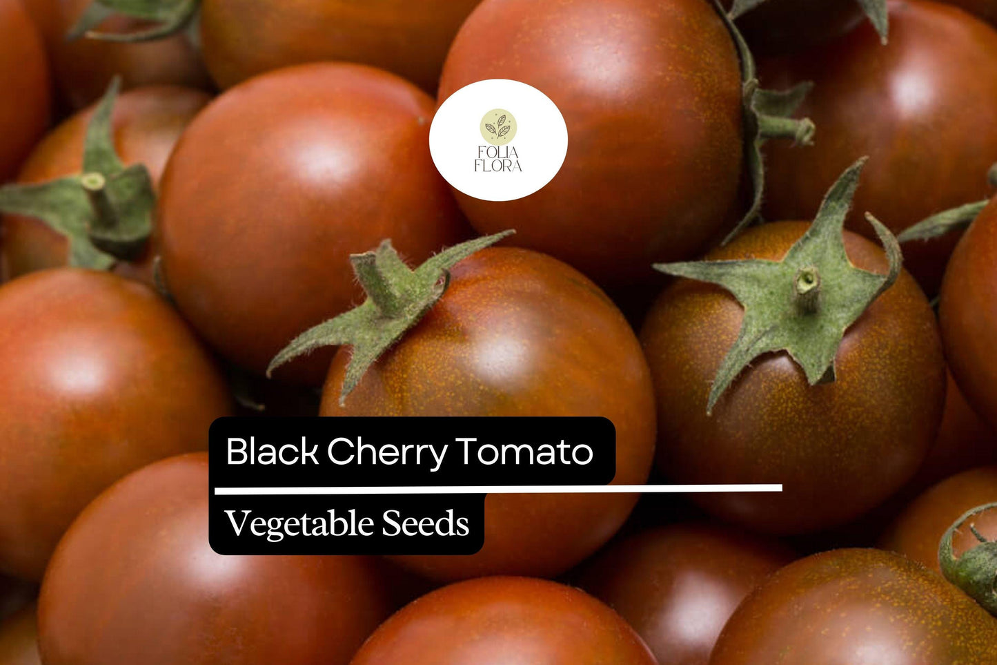 Black Cherry Tomato Seeds – Heirloom, Sweet, Dark Purple to Red, Solanum lycopersicum, 30 Seeds