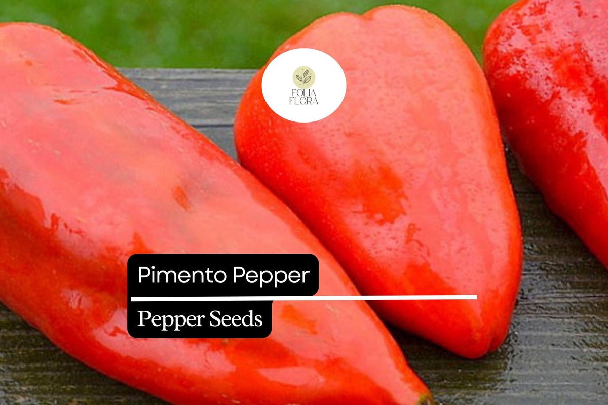 25 Pimento Pepper Seeds – Sweet Heirloom Capsicum Annuum, Heart-Shaped Red Peppers for Cooking & Garden Growth