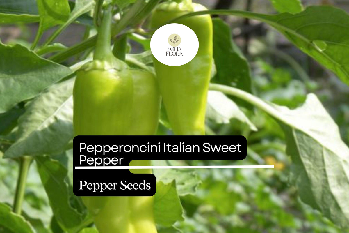 Pepperoncini Italian Sweet Pepper Seeds | Non-GMO, Heirloom, Pickling & Salad | Capsicum annuum