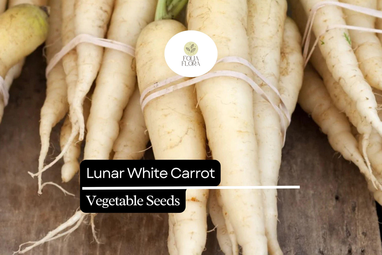 200 Lunar White Carrot Seeds – Heirloom Daucus Carota, Creamy White Roots, Sweet Flavor, Easy to Grow, Full Sun, 6-8 Inch Roots