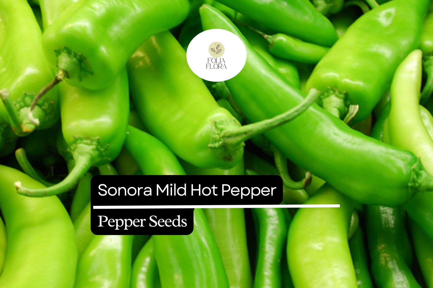 Sonora Mild Hot Pepper Seeds – High-Yield Non-GMO Heirloom, Capsicum annuum, Green to Red, Mild Heat, Culinary Use