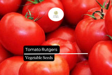 Tomato Seeds Rutgers Heirloom Non-GMO for Canning & Fresh Use – Solanum lycopersicum, Medium Globe-Shaped, Deep Red