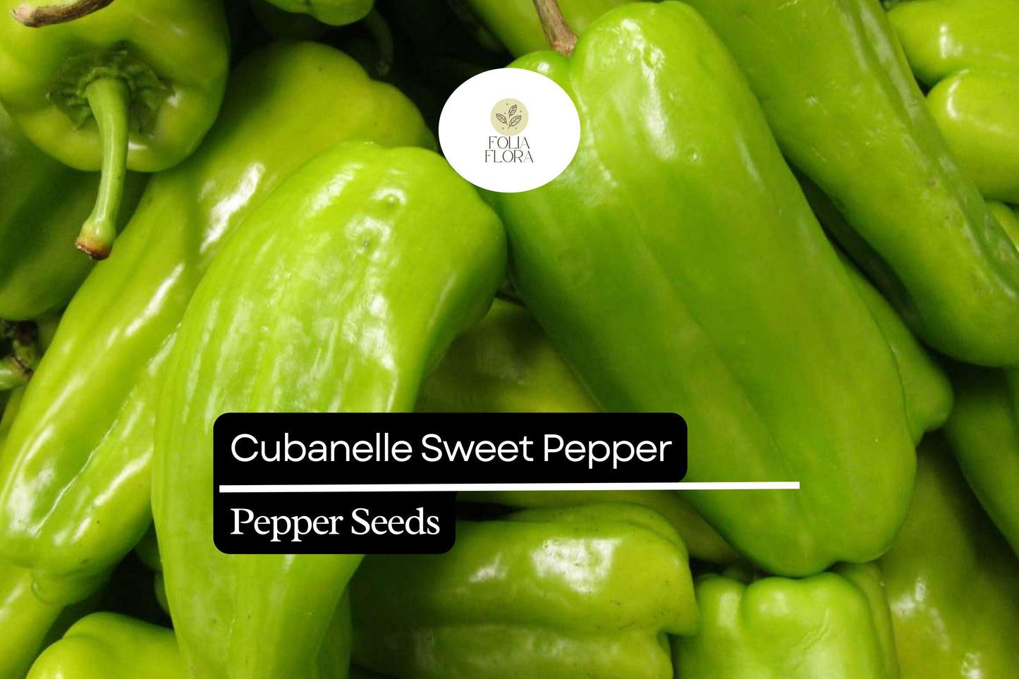 Cubanelle Sweet Pepper Seeds | Capsicum Annuum | Mild & Sweet Peppers for Cooking & Salads