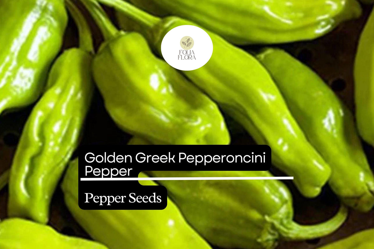 Golden Greek Pepperoncini Seeds – Mild Capsicum annuum for Pickling, Salads, and Garnishes, Bright Yellow-Green Color