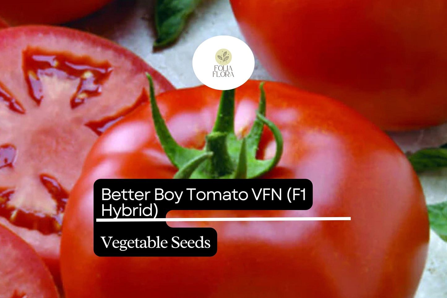 Better Boy Tomato Seeds, F1 Hybrid, High-Yield, Disease-Resistant Solanum Lycopersicum, Bright Red, Large Fruits