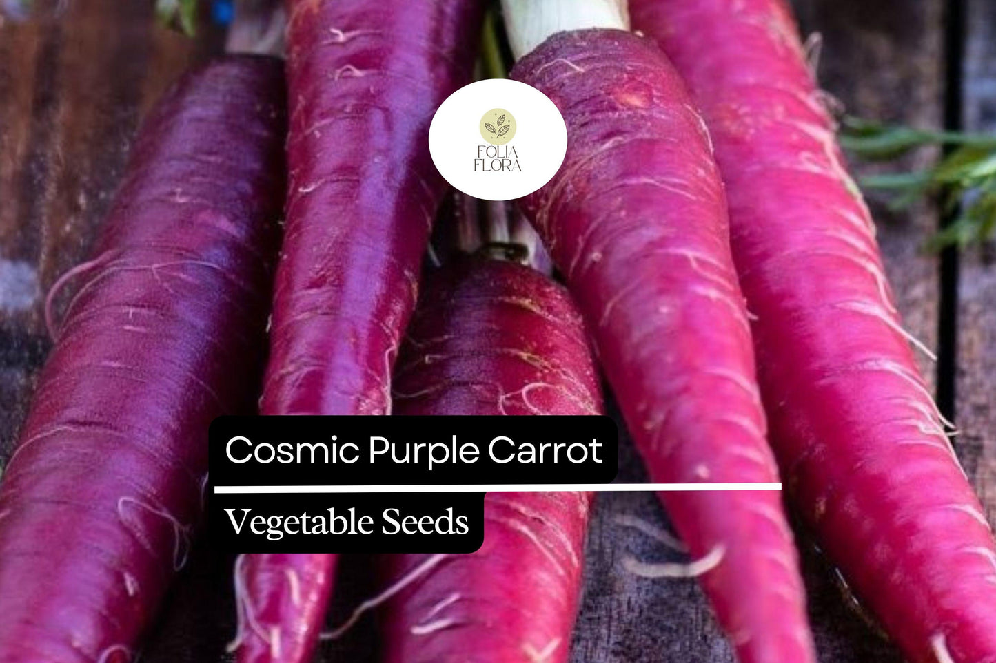 Cosmic Purple Carrot Seeds – 300 Pack, Vibrant Purple Skin, Sweet Orange Core, Heirloom Daucus carota, Nutritious, Easy to Grow