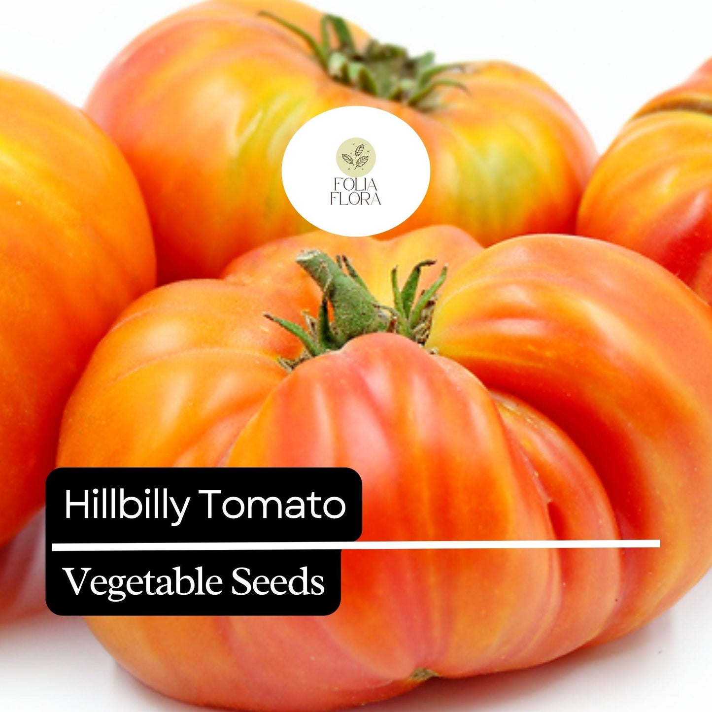 30 Hillbilly Tomato Seeds – Heirloom, Large Beefsteak, Yellow-Orange with Red Stripes, Solanum lycopersicum