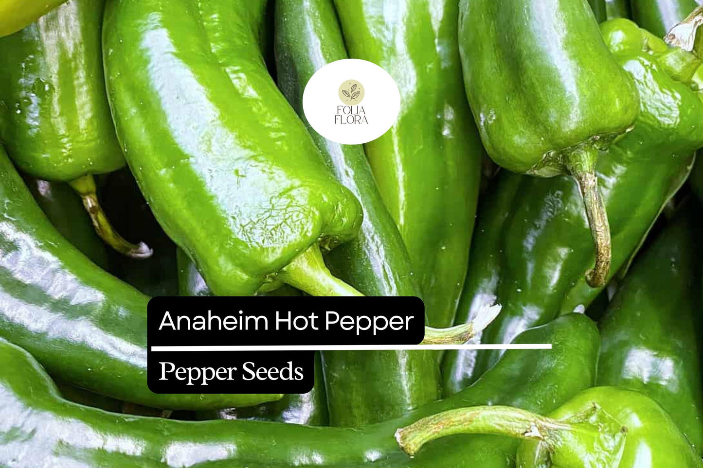 25 Anaheim Pepper Seeds – Mild, Flavorful, High-Yielding Capsicum annuum Chili Seeds