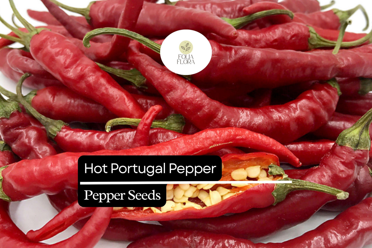 Hot Portugal Pepper Seeds – Capsicum annuum – Heirloom Medium-Hot Chili, Early Maturing, Non-GMO