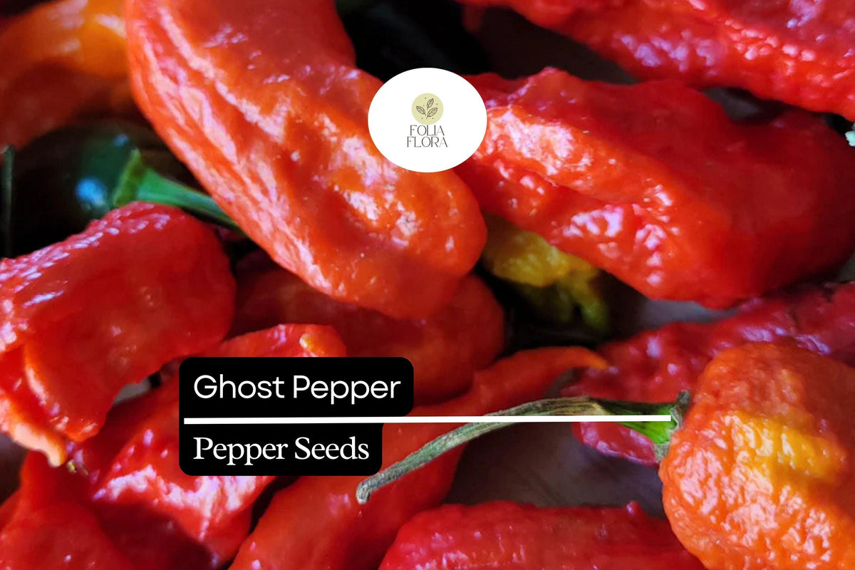 Ghost Pepper Seeds – Bhut Jolokia, Super Hot Heirloom Chili, Capsicum chinense, Red, High-Yield, Extreme Heat