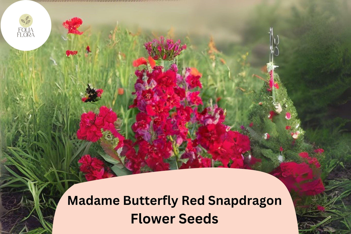 Antirrhinum majus Madame Butterfly Red Snapdragon Seeds – 1000+ Double-Petaled Ruffled Blooms for Garden & Cut Flowers