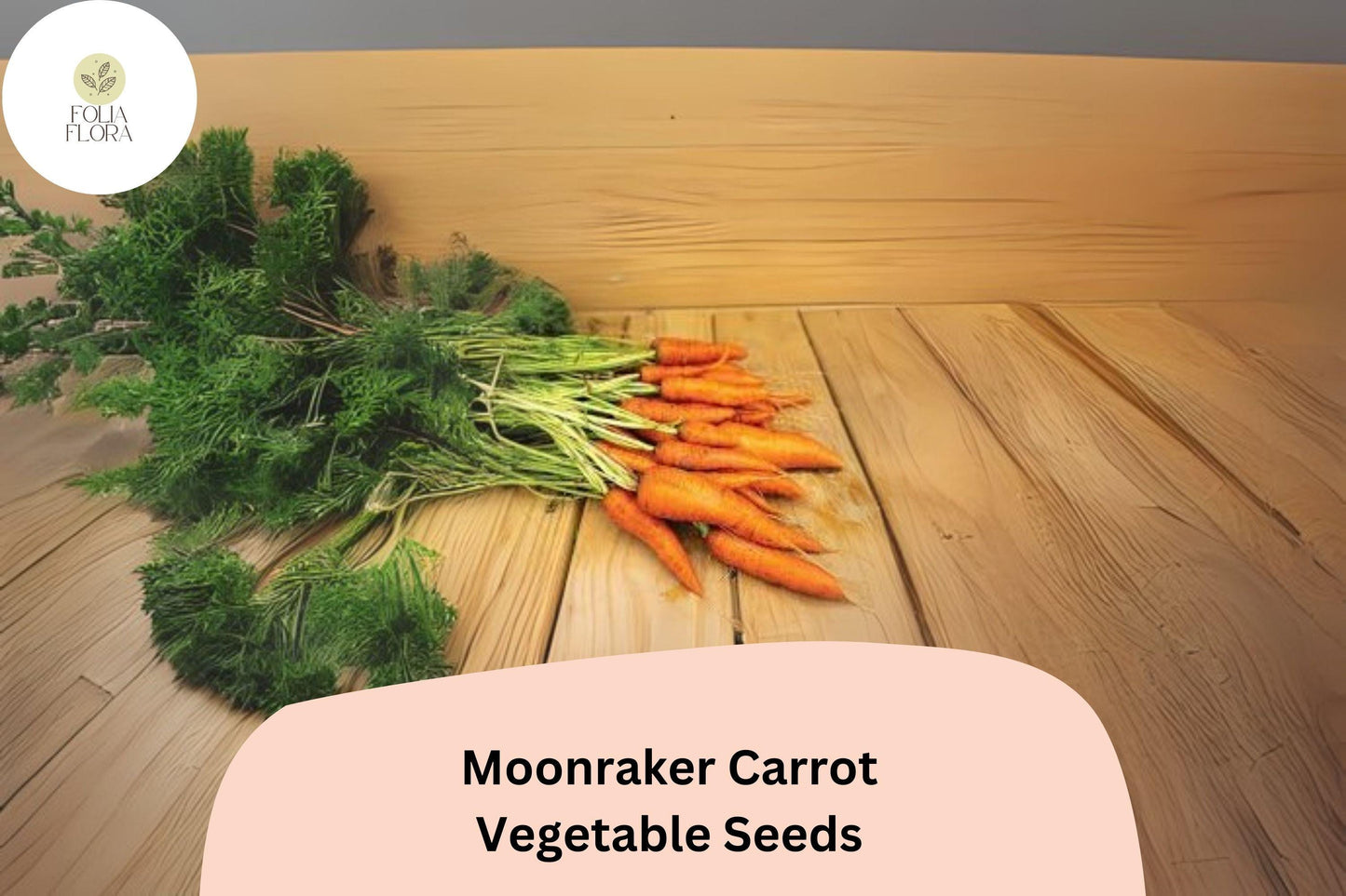 1000+ Moonraker Carrot Seeds – White Heirloom, Sweet & Crisp, Tapered Root, Organic, Full Sun, 8-10 Inch Roots