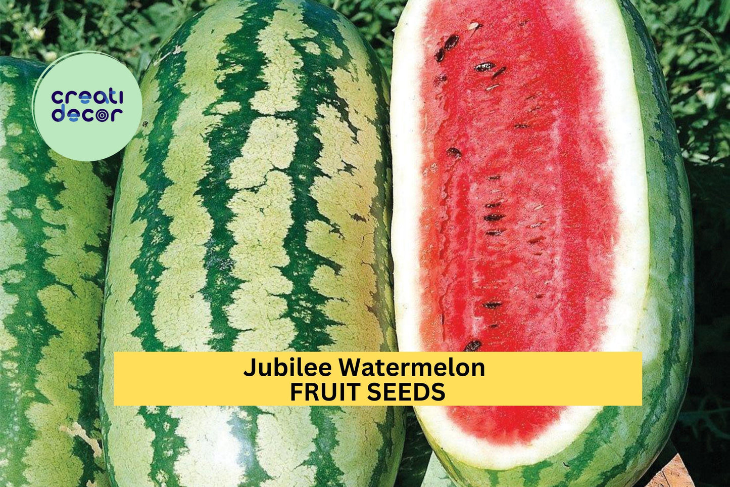 Jubilee Watermelon Seeds 3 Pack – Heirloom Red Flesh, Large Fruits, Heat-Tolerant Citrullus lanatus for Summer Gardens