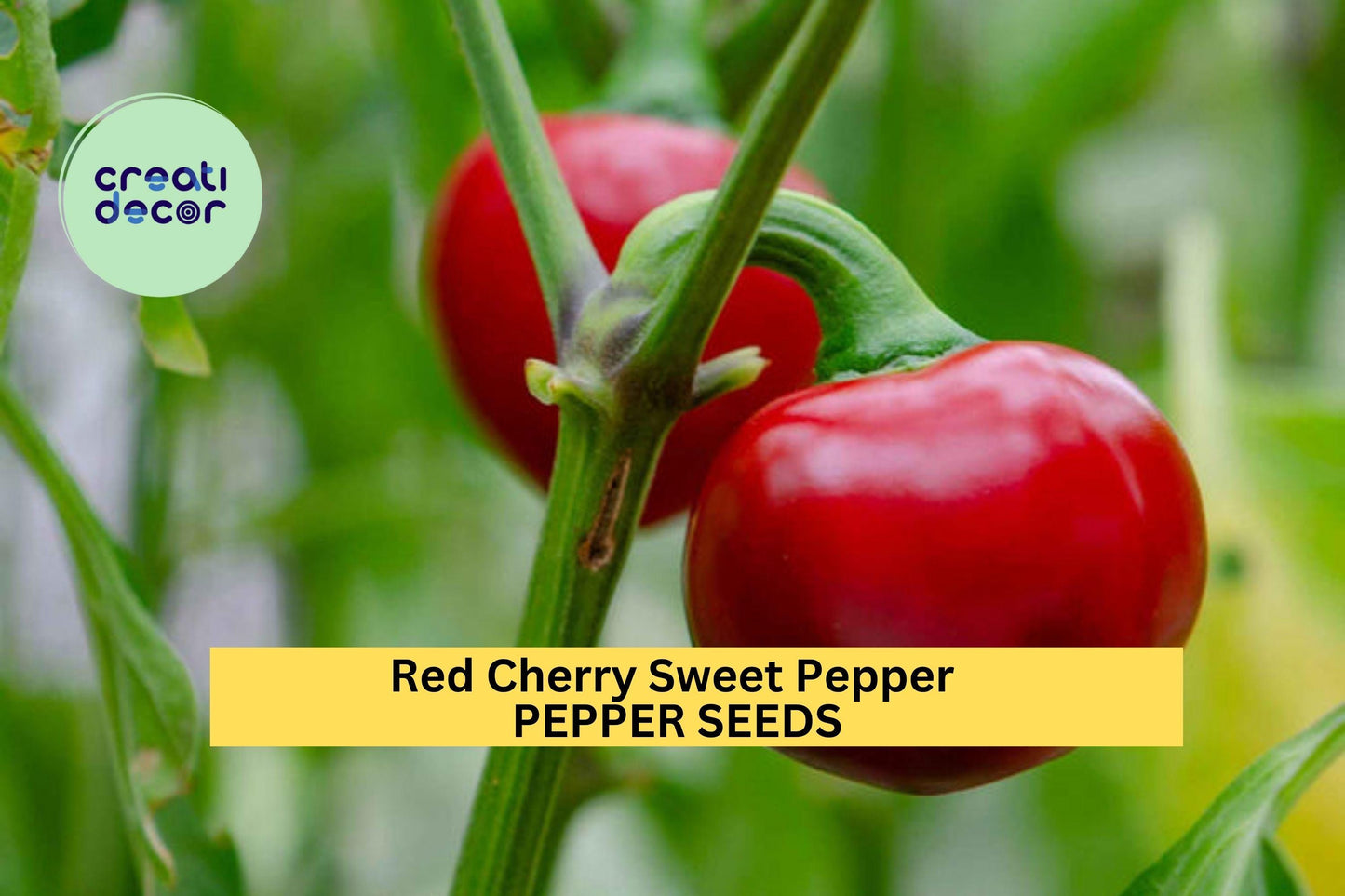 3pcs Red Cherry Sweet Pepper Seeds – Heirloom Capsicum annuum, Mild, Round, Bright Red, Perfect for Pickling & Salads