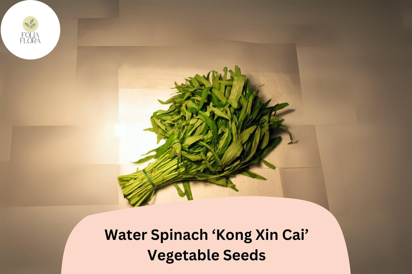 120pcs Water Spinach Seeds - Ipomoea aquatica, Asian Green, Heirloom, Non-GMO, Fast-Growing, Hollow Stem Leafy Green