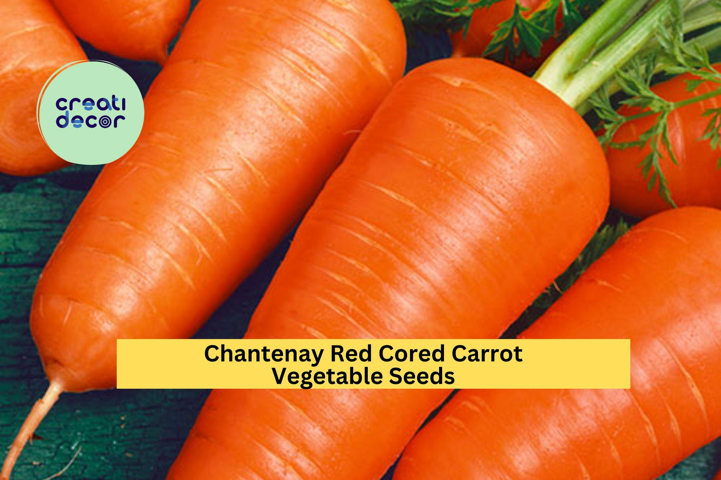 3pcs x 1g Chantenay Red Cored Carrot Seeds – Heirloom Short Root Vegetable for Raised Beds & Containers, Daucus carota subsp. sativus