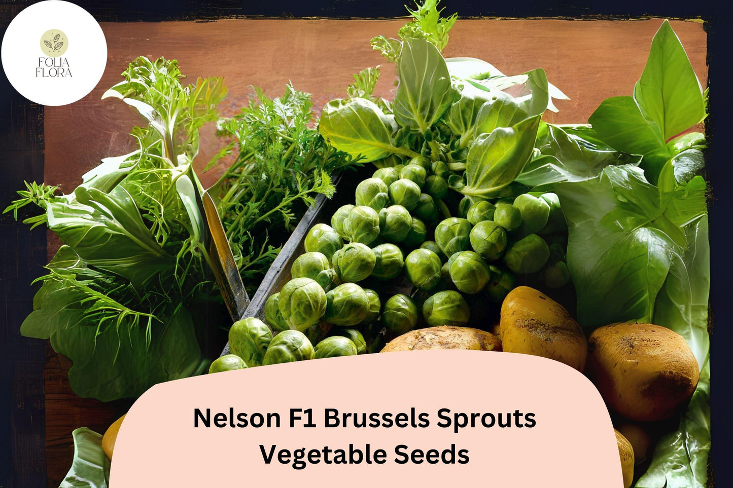 500+ Nelson F1 Brussels Sprouts Seeds – High-Yield Hybrid, Cold-Hardy, Disease-Resistant, Green, for Garden & Container Growing