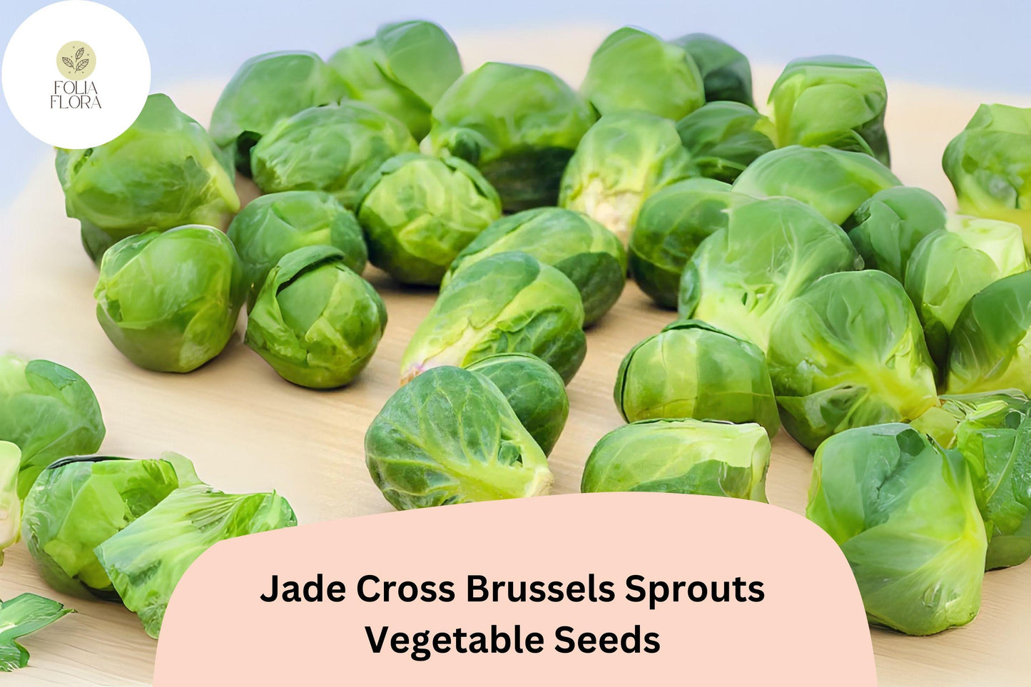500+ Jade Cross Brussels Sprouts Seeds – Hybrid, Cold-Hardy, High-Yield, Compact Green Vegetable Seeds