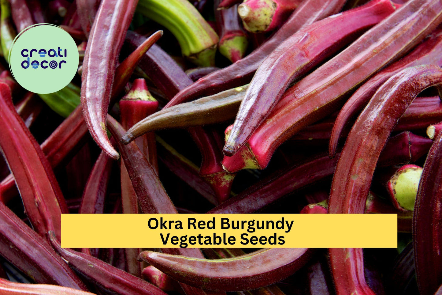 Red Burgundy Okra Seeds – 3 Pack, Heirloom, Abelmoschus esculentus, Colorful Red Pods, Tender Texture, Perfect for Garden Beds & Cooking