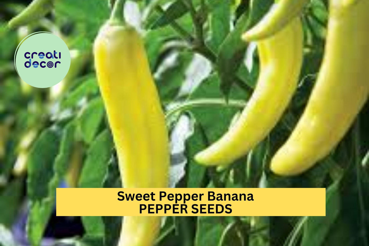 3pcs Sweet Banana Pepper Seeds – Mild Yellow Capsicum annuum for Pickling, Cooking & Home Garden Planting