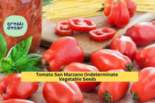 San Marzano Tomato Seeds 3 Pack – Indeterminate Italian Heirloom for Sauces, Canning, and Home Garden – Solanum lycopersicum
